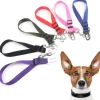 Adjustable Nylon Doggie Seatbelt-Keep Your Dog Safe in the Car! *
