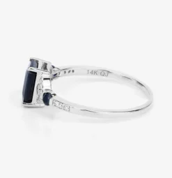 Blue Sapphire and Diamond Ring in 14K Gold