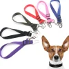 Adjustable Nylon Doggie Seatbelt-Keep Your Dog Safe in the Car! *