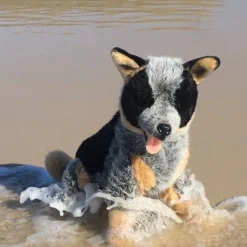 Australian Cattle Dog Lifelike Size 40cm/15.7"