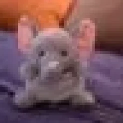 Baby Plush Animals! Cow, Pig, Sloth, Bear, Husky Floppy Soft Plush Toys