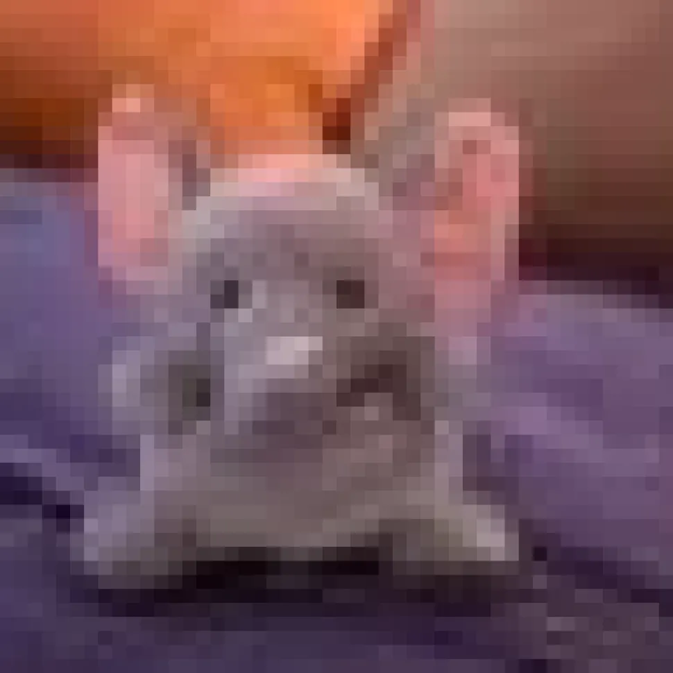 Baby Plush Animals! Cow, Pig, Sloth, Bear, Husky Floppy Soft Plush Toys