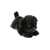 Black or Fawn Floppy Pug Puppies Eco-friendly