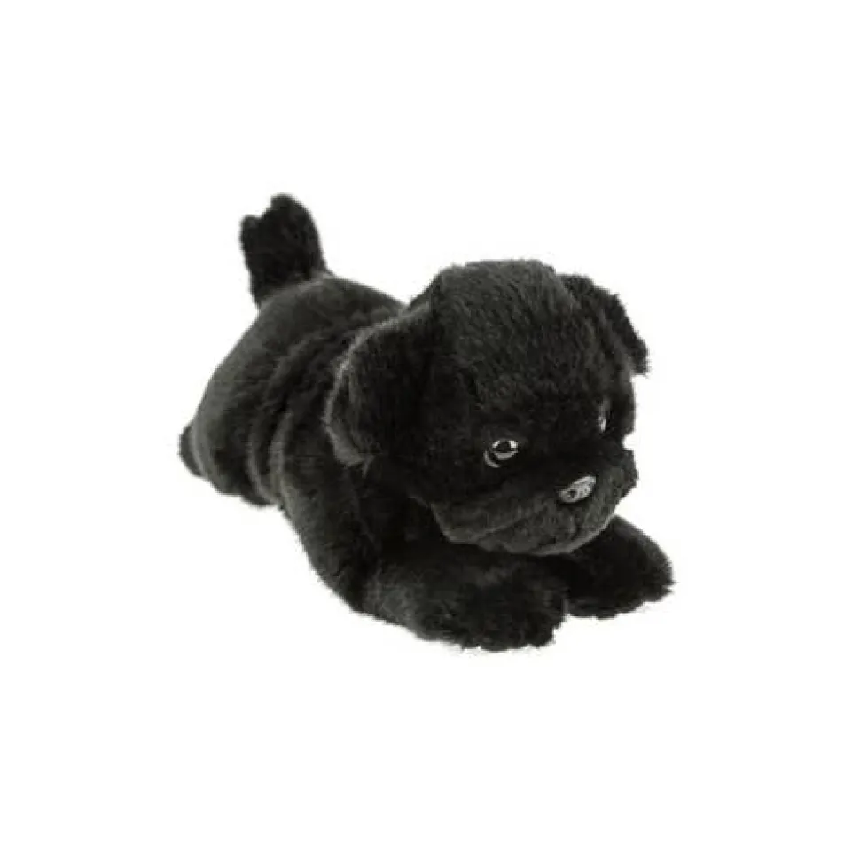 Black or Fawn Floppy Pug Puppies Eco-friendly