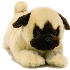 Black or Fawn Floppy Pug Puppies Eco-friendly