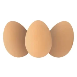 Bouncy Realistic Rubber Brown Eggs Perfect for Easter or Year Round Fun!