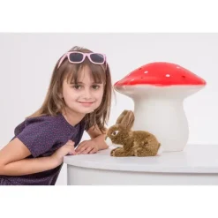 Brown Bunny by Teddy Hermann