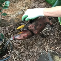 Bubbles The Pig Metal Art Watering Can