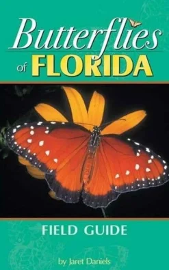 Butterflies Of Florida Field Guide Beautiful Photos and Information