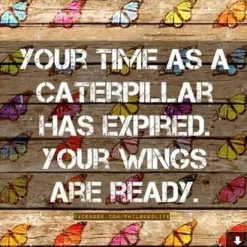 Butterfly Bracelet Sterling Silver and Genuine Amethyst, Purple, Green or Yellow CZ Elegant