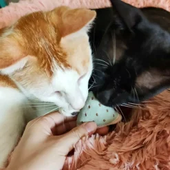 Catnip Plush Toys for Cats So much fun in such a little package! *