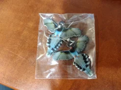 Chicken and Rooster and Bee and more Acrylic Animal Earrings