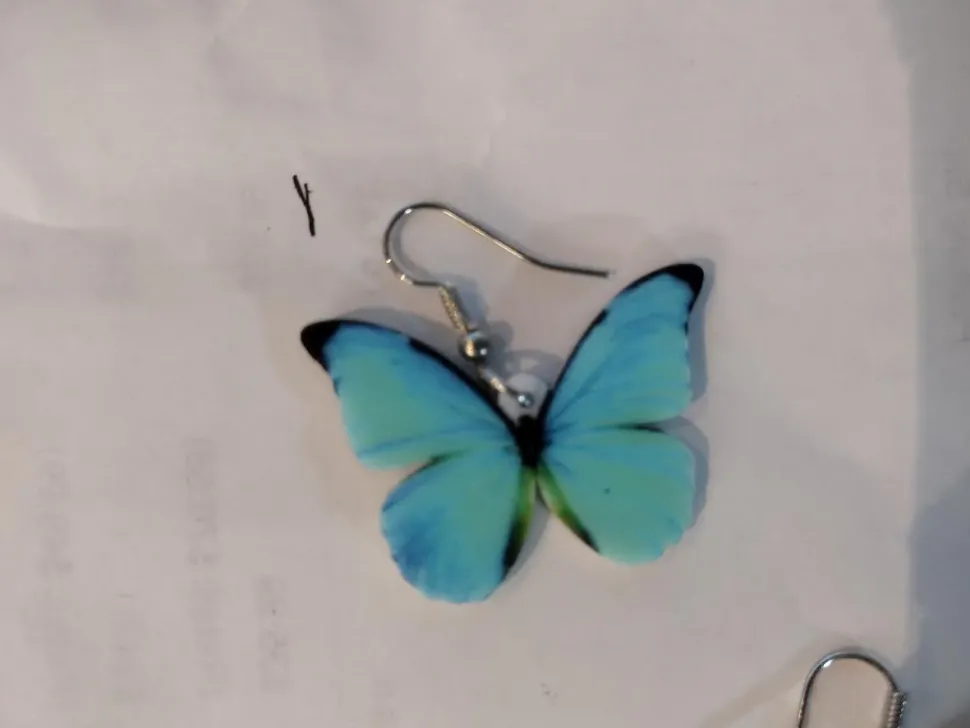 Chicken and Rooster and Bee and more Acrylic Animal Earrings