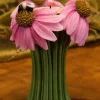 Coneflower & Bee Tea Light Bouquet
