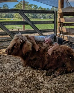 Cow Cuddle EXPERIENCES Gift Certificate-Great Gift Idea!