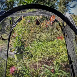 Cow Cuddle EXPERIENCES Gift Certificate-Great Gift Idea!