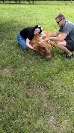 Cow Cuddle EXPERIENCES Gift Certificate-Great Gift Idea!