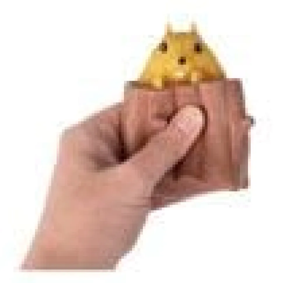 Critter Squish Outs Buddies-Chick, Squirrel, Dragon, Unicorn