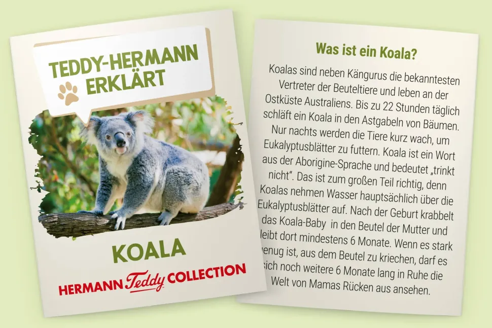 Cutest Plush Koala 21 cm by Teddy Hermann