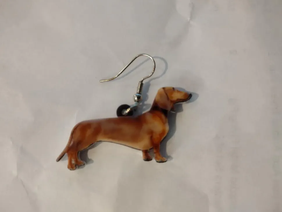 Dog & Kitten Acrylic Earrings