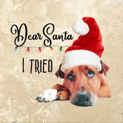 Dog: Dear Santa, I tried Coaster Christmas by Krebs - 4" Travertine Coasters