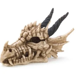 Dragon Skull Treasure Box