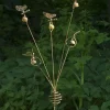 Flamed Buttterfly & Bells Garden Stake