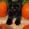 Floppy Realistic Black Cat-Lifesize! Meet Binx...