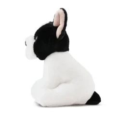 French Bulldog Puppy