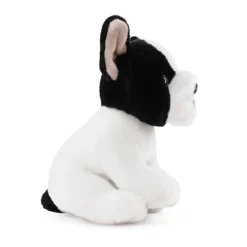 French Bulldog Puppy