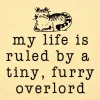 Funny Cat Lover's Sign: My life is ruled by a tiny, furry overlord, Handmade in the USA Wood