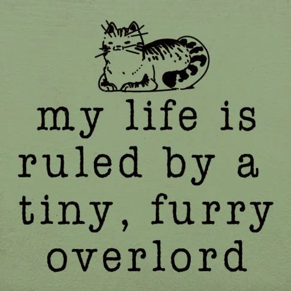 Funny Cat Lover's Sign: My life is ruled by a tiny, furry overlord, Handmade in the USA Wood