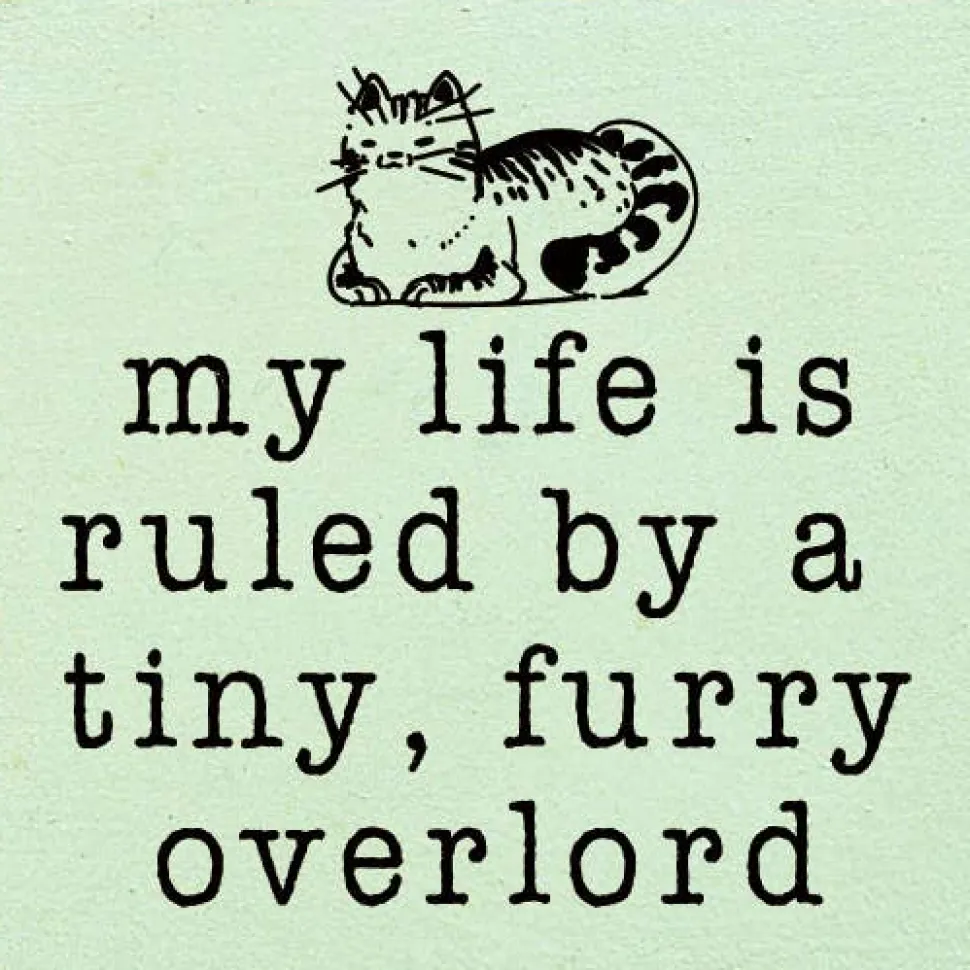 Funny Cat Lover's Sign: My life is ruled by a tiny, furry overlord, Handmade in the USA Wood