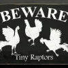 Funny Sign for Chicken Lovers: Beware: Tiny Raptors