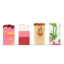 Gift Tin Soaps Sampler Set of Handmade Vegan Soaps by FinchBerry