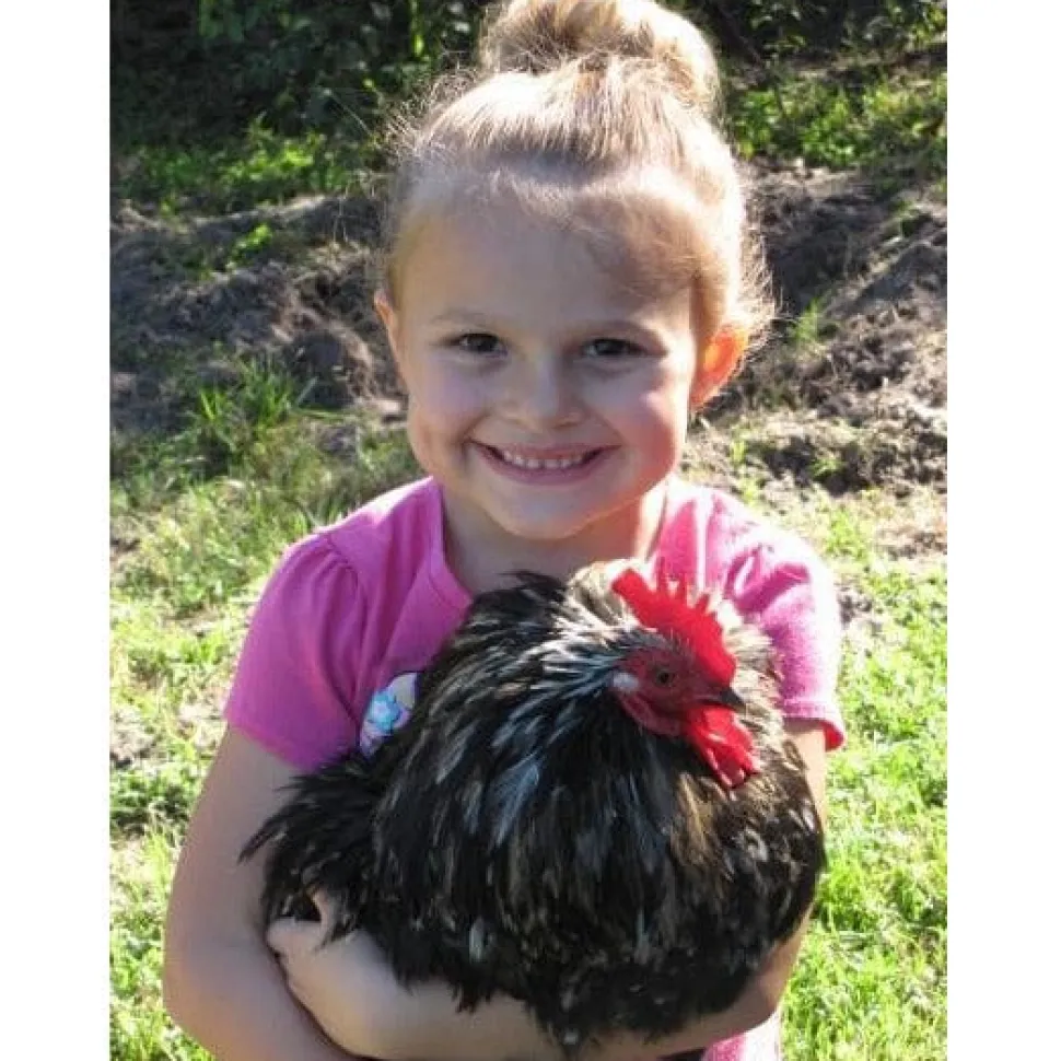 Give the GIFT of Compassion with a Rooterville Gift Card!