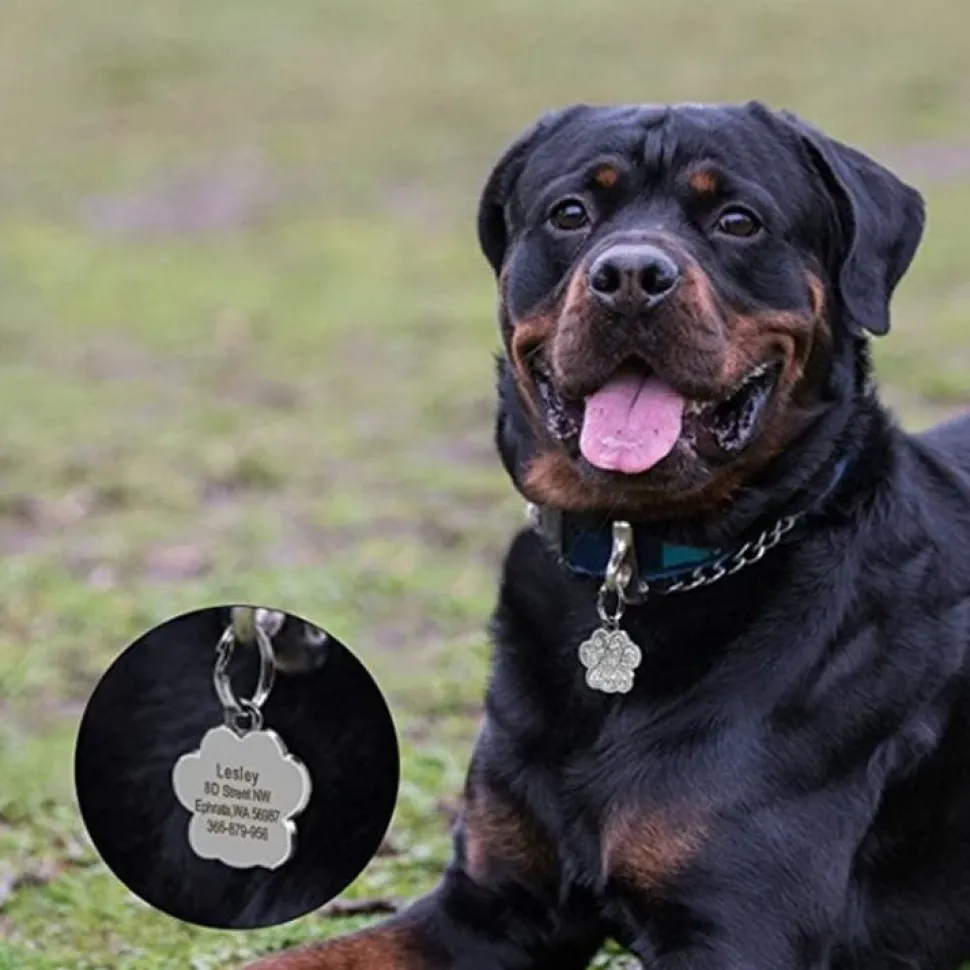Glittery Paw Dog ID Name Tags Beautiful Sparkling Glitter Paw, Personalized for Your Pet!