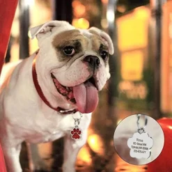 Glittery Paw Dog ID Name Tags Beautiful Sparkling Glitter Paw, Personalized for Your Pet!