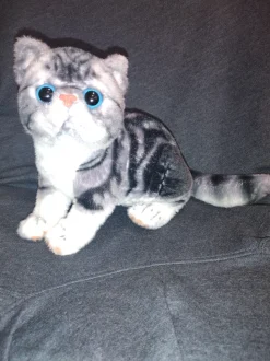 Grey Tabby and Calico Exotic Short Hair Plush Cats