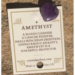 Healing Crystal Pet Charm Amethyst Pet Pendant- Protection