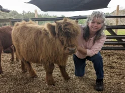 Highland Cow Necklaces Sterling Silver Beautiful Gifts!