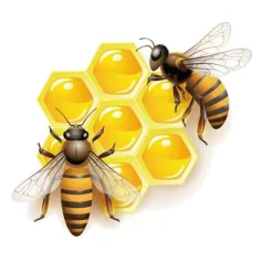 Honey Bee and Bee Happy Stickers for Car or Anywhere!