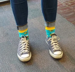Honey Bee Socks for the Bee Lovers