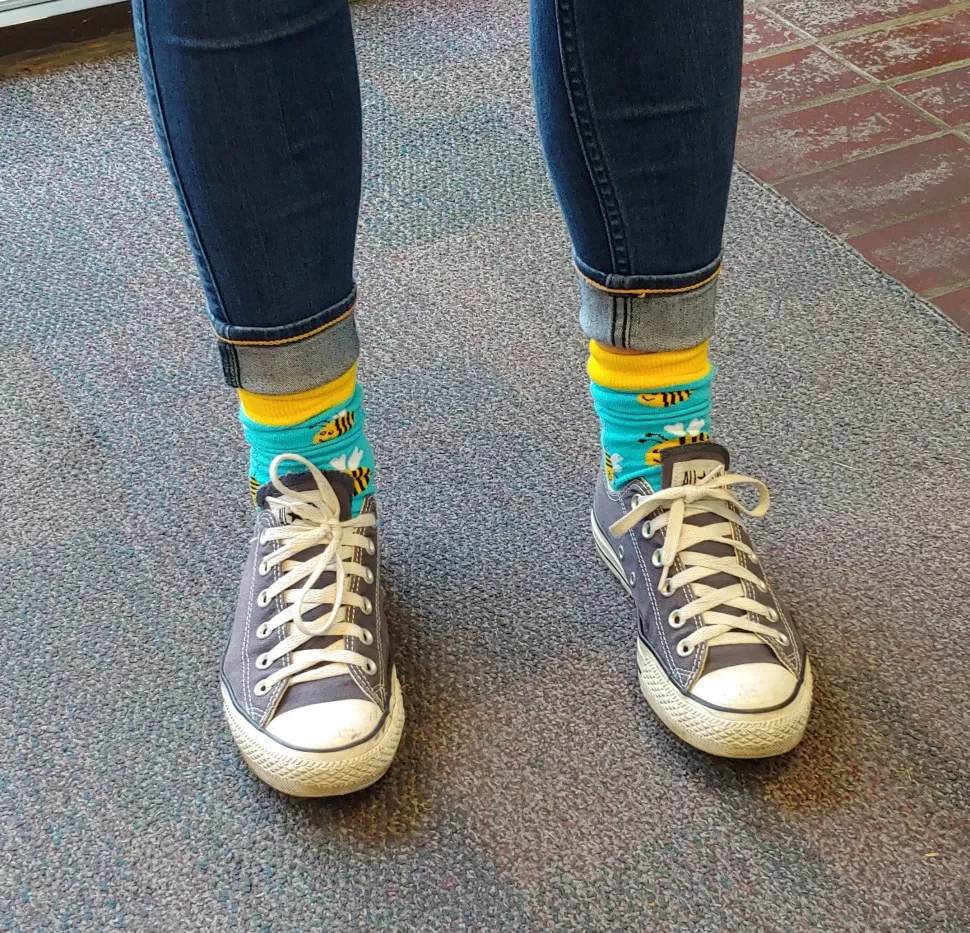 Honey Bee Socks for the Bee Lovers