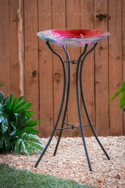 Hummingbird Flutter 18