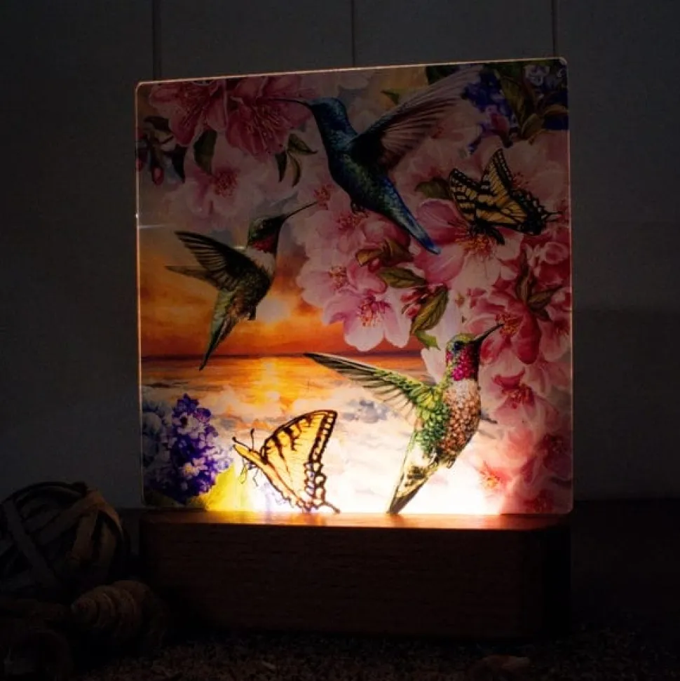 Hummingbird Led