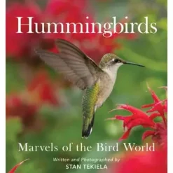 Hummingbirds - Book