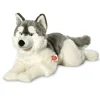 Husky Plush Large Size Floppy Lying by Teddy Hermann