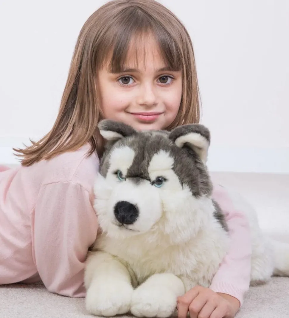 Husky Plush Large Size Floppy Lying by Teddy Hermann
