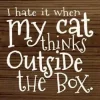 I Hate when my Cat Thinks outside the Box Wood Sign